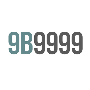 9b9999